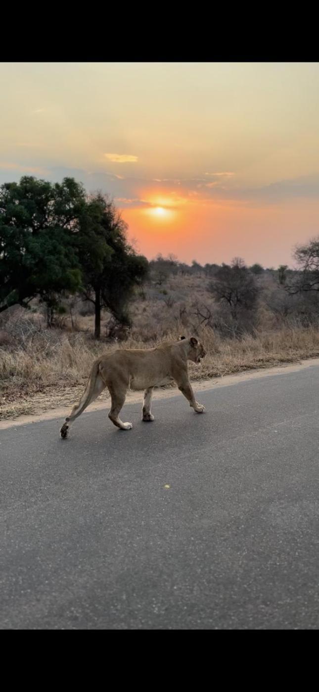 Hectorspruit Manzini River House - Mjejane Private Game Reserve, Greater Kruger National Park מראה חיצוני תמונה