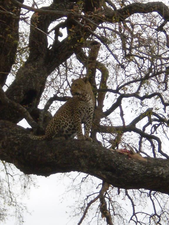 Hectorspruit Manzini River House - Mjejane Private Game Reserve, Greater Kruger National Park מראה חיצוני תמונה